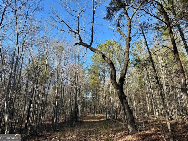 $422,472 | 0 Budapest Spur, Tallapoosa, GA 30176