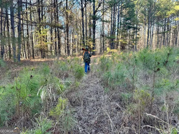 $422,472 | 0 Budapest Spur, Tallapoosa, GA 30176