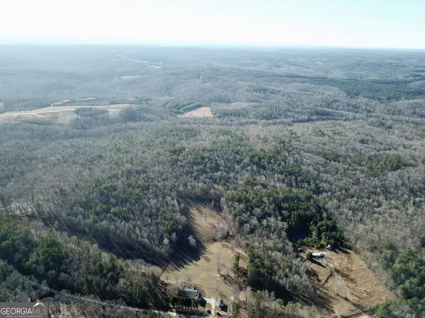 a view of a dry yard