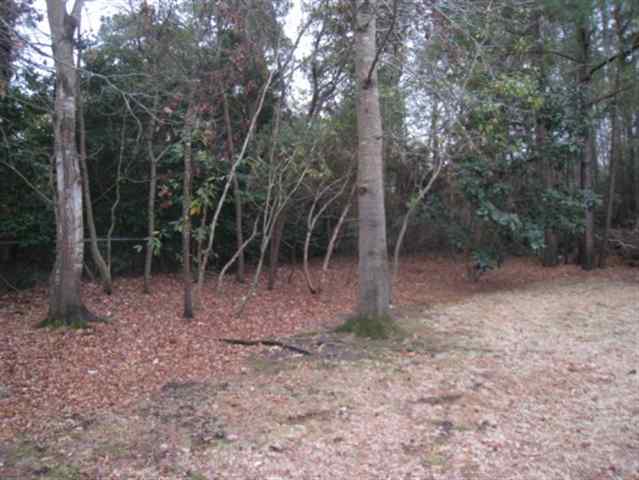 107 Wind Tree Lane Conway, SC 29526 - Photo 10 of 10 Gallery Image 10