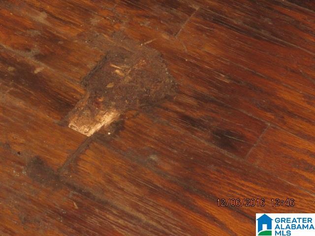 205 Wolf Pen Ridge Road Pell City, AL 35128 - Photo 30 of 50