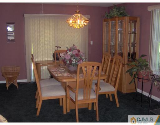 295 New Road Monmouth Junction, NJ 08852 - Photo 5 of 10 Gallery Image 5