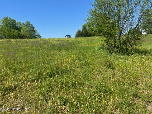1225 Meredith Ridge Road Leitchfield, KY 42754 - Photo 4 of 9 IMG_2483