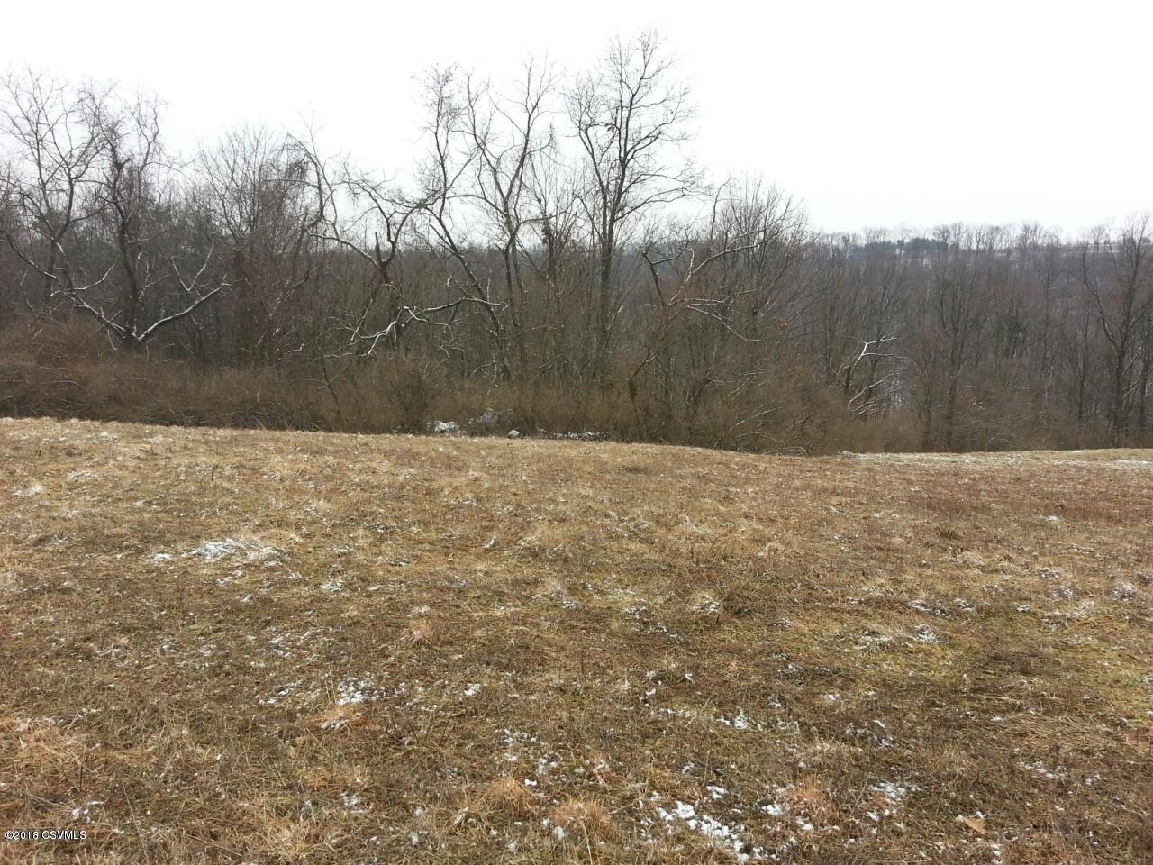 Lot #10 Billman Road Catawissa, PA 17820 - Photo 1 of 1 Gallery Image 1