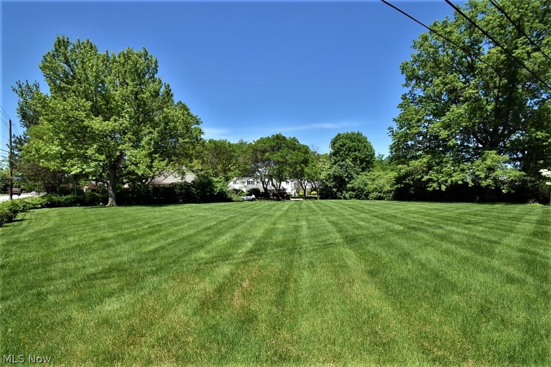 Edgewood Road Beachwood, OH 44122 - Photo 8 of 12 Gallery Image 8
