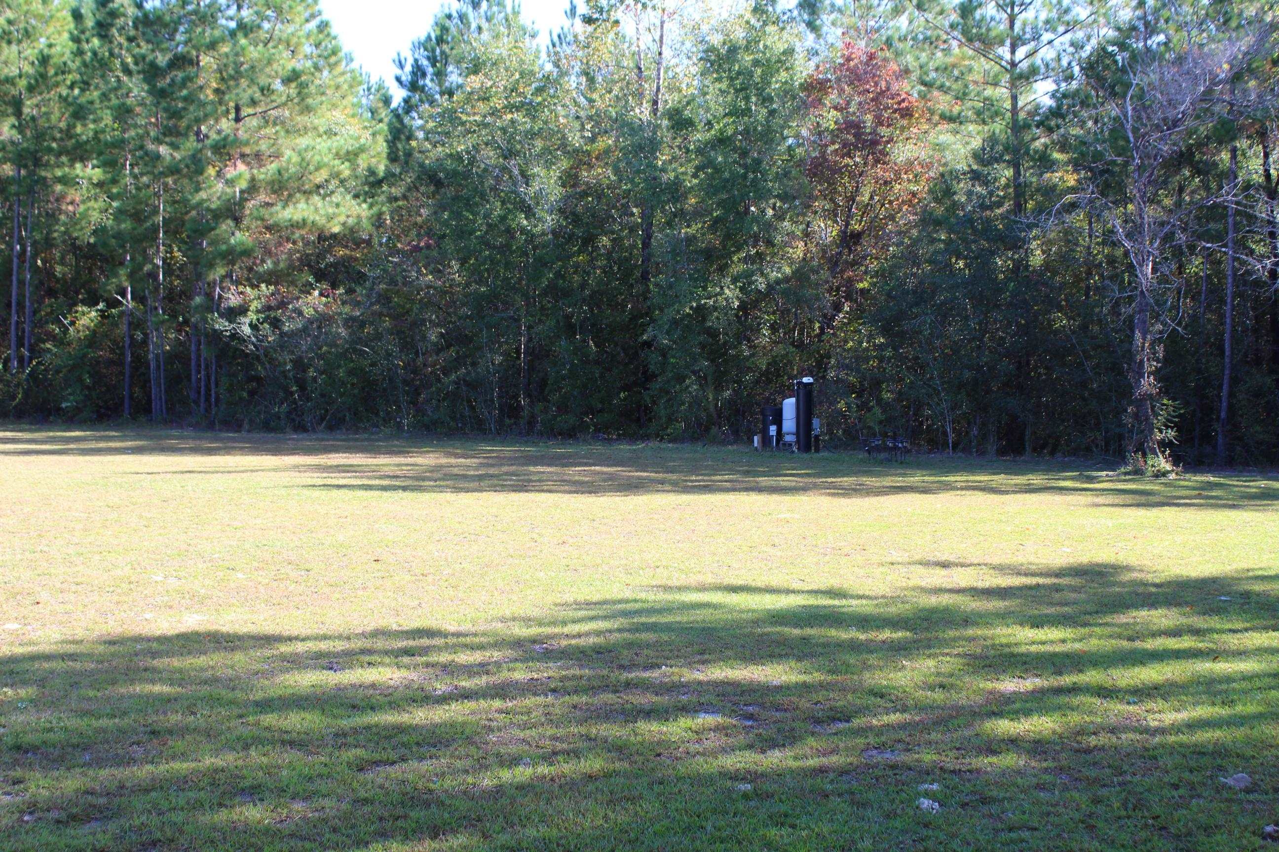 33 Elm Ridge Loop Crawfordville, FL 32327 - Photo 7 of 42 Gallery Image 7