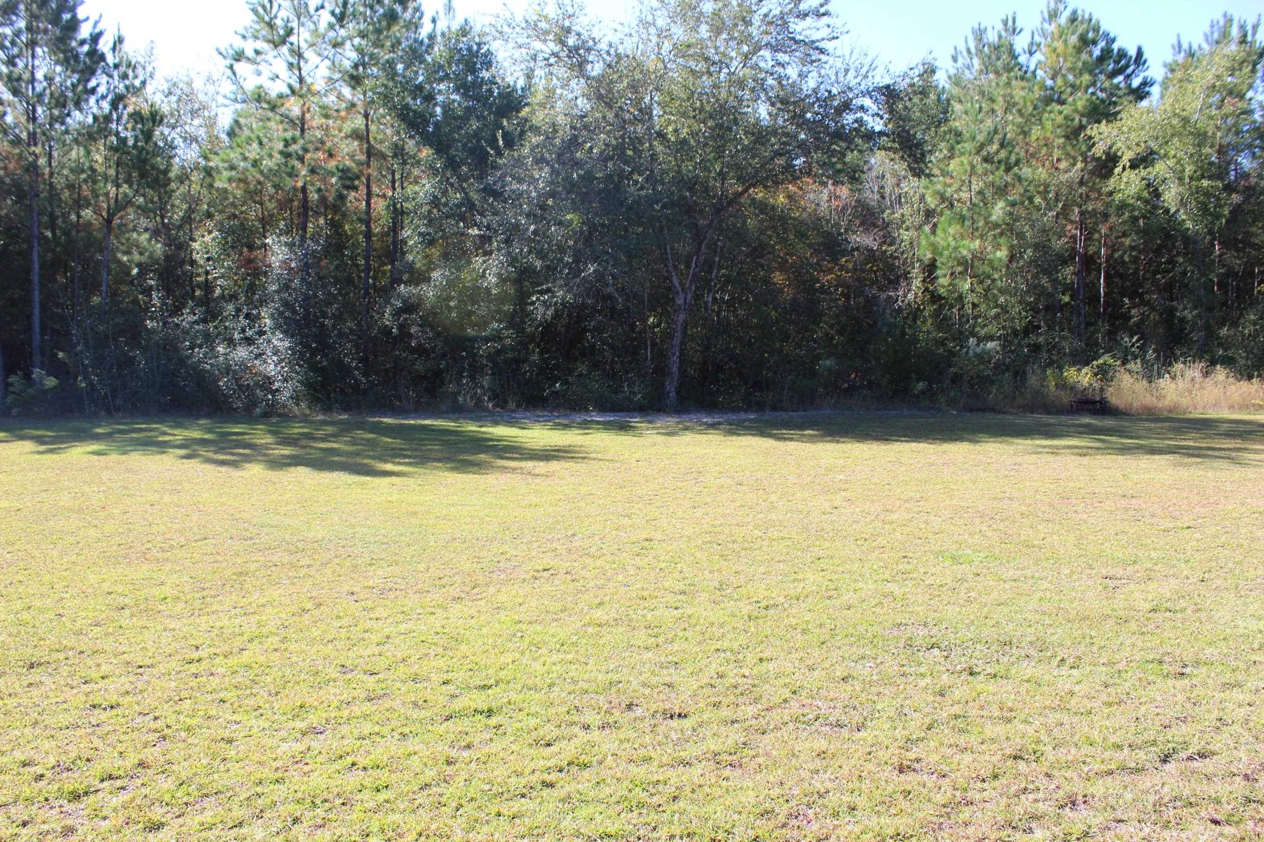 33 Elm Ridge Loop Crawfordville, FL 32327 - Photo 8 of 42 Gallery Image 8