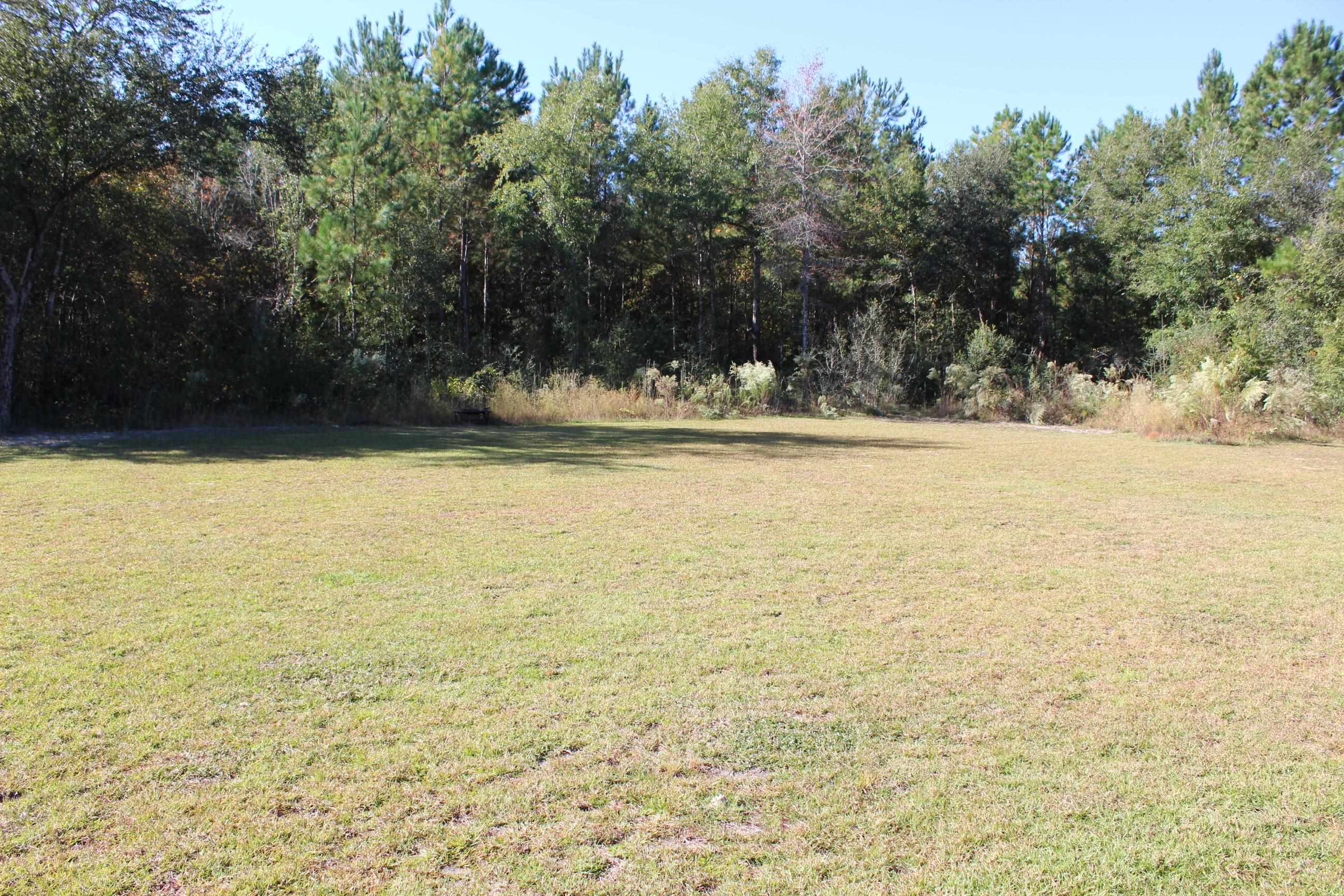 33 Elm Ridge Loop Crawfordville, FL 32327 - Photo 9 of 42 Gallery Image 9