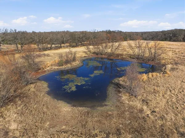 a view of beach and ocean