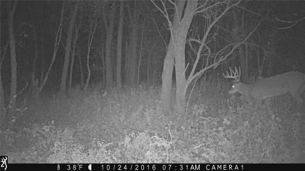 0 Co Rd 150 W Road Bloomfield, IN 47424 - Photo 7 of 10 Gallery Image 7