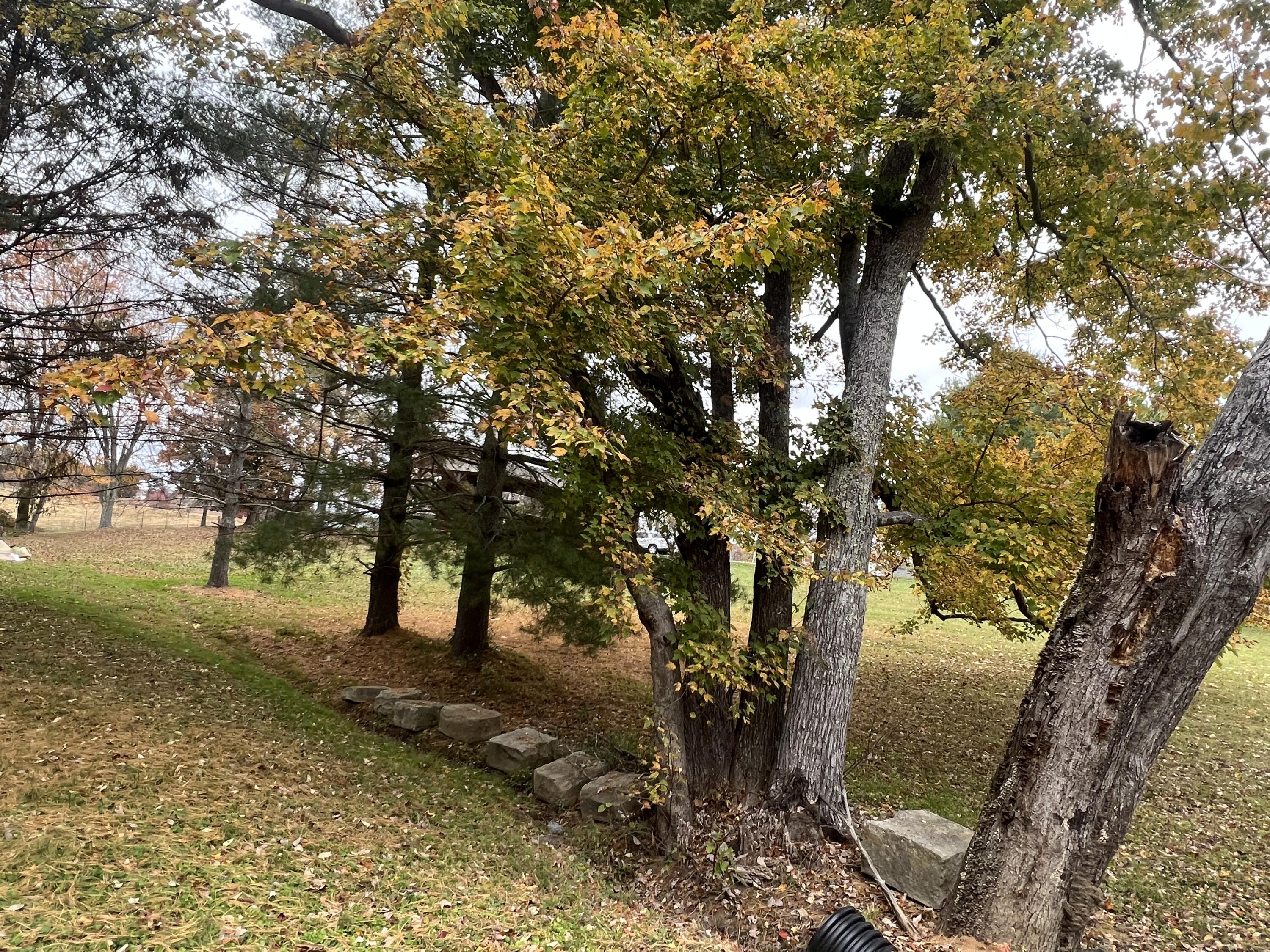 94 Paul Marcum Road London, KY 40744 - Photo 21 of 22 0A752FAB-3507-4366-8BC7-A6EF0D33A8F0