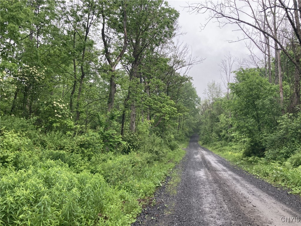 Lynch Road Newport, NY 13416 - Photo 1 of 1 Gallery Image 1