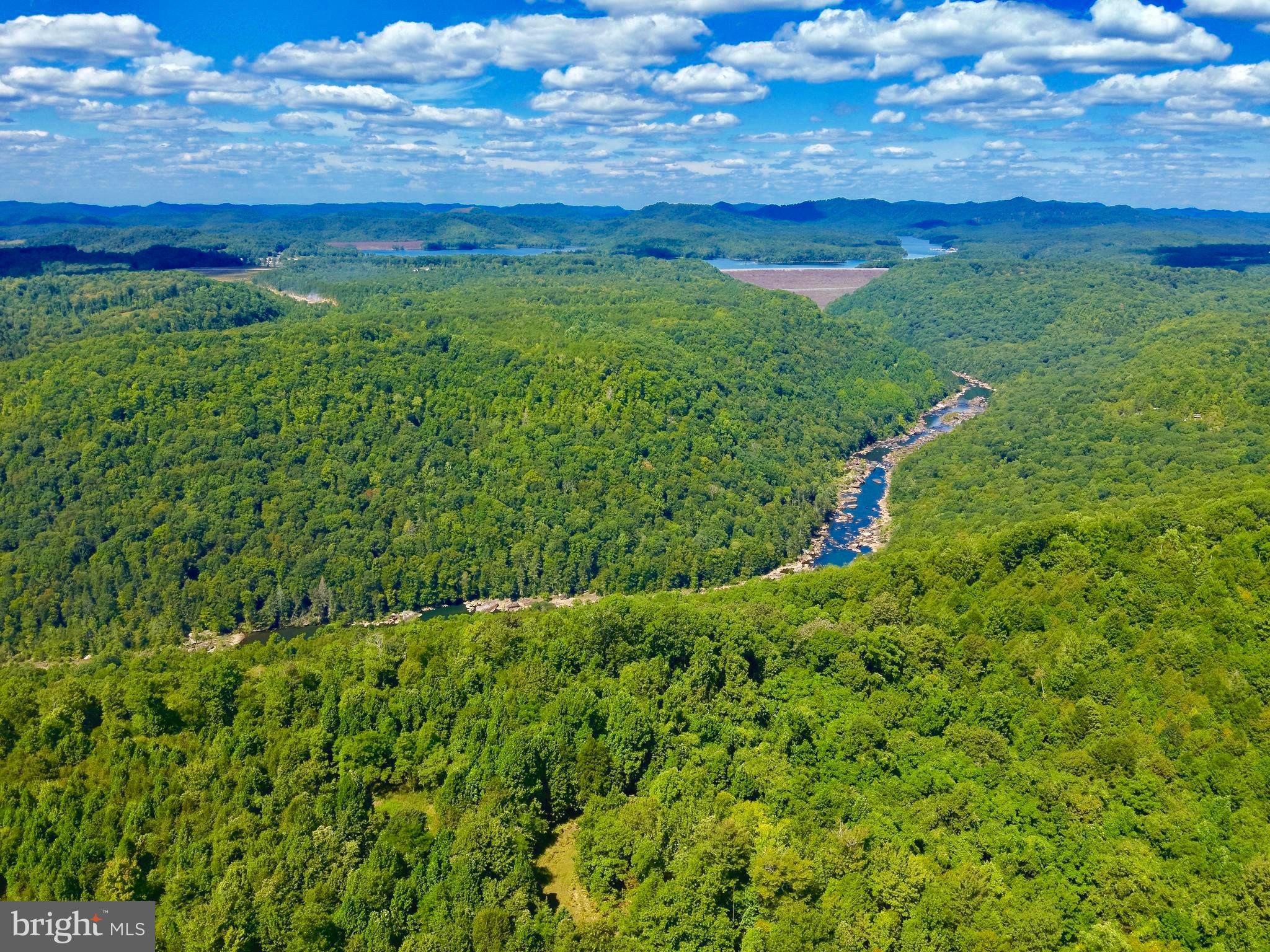 Lot 9 Gauley Ridge Rd Mount Mount Nebo, WV 26679 - Photo 7 of 15 a view of a lush green space with sea