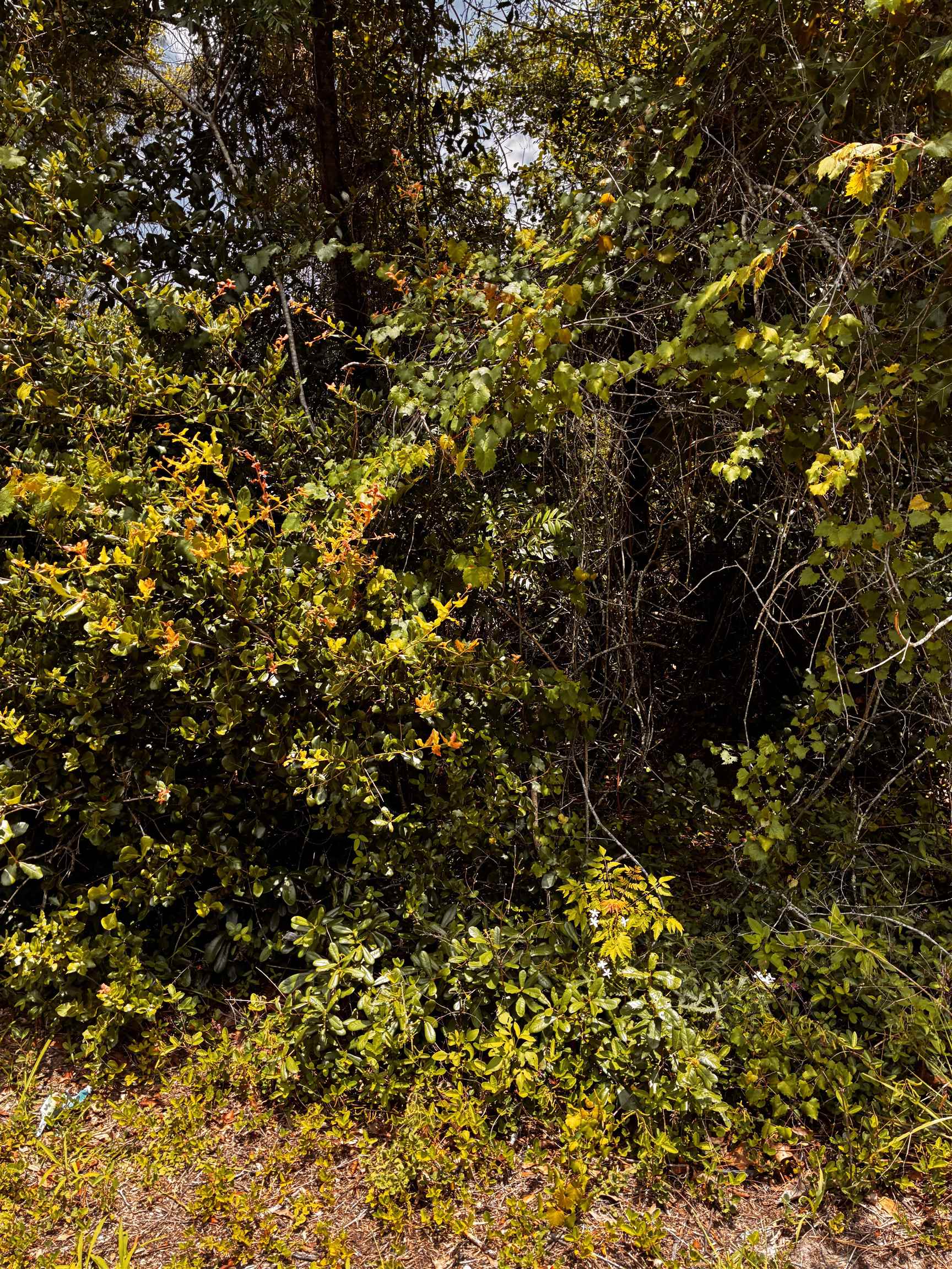 4166 New Hampshire Road Elkton, FL 32033 - Photo 5 of 7