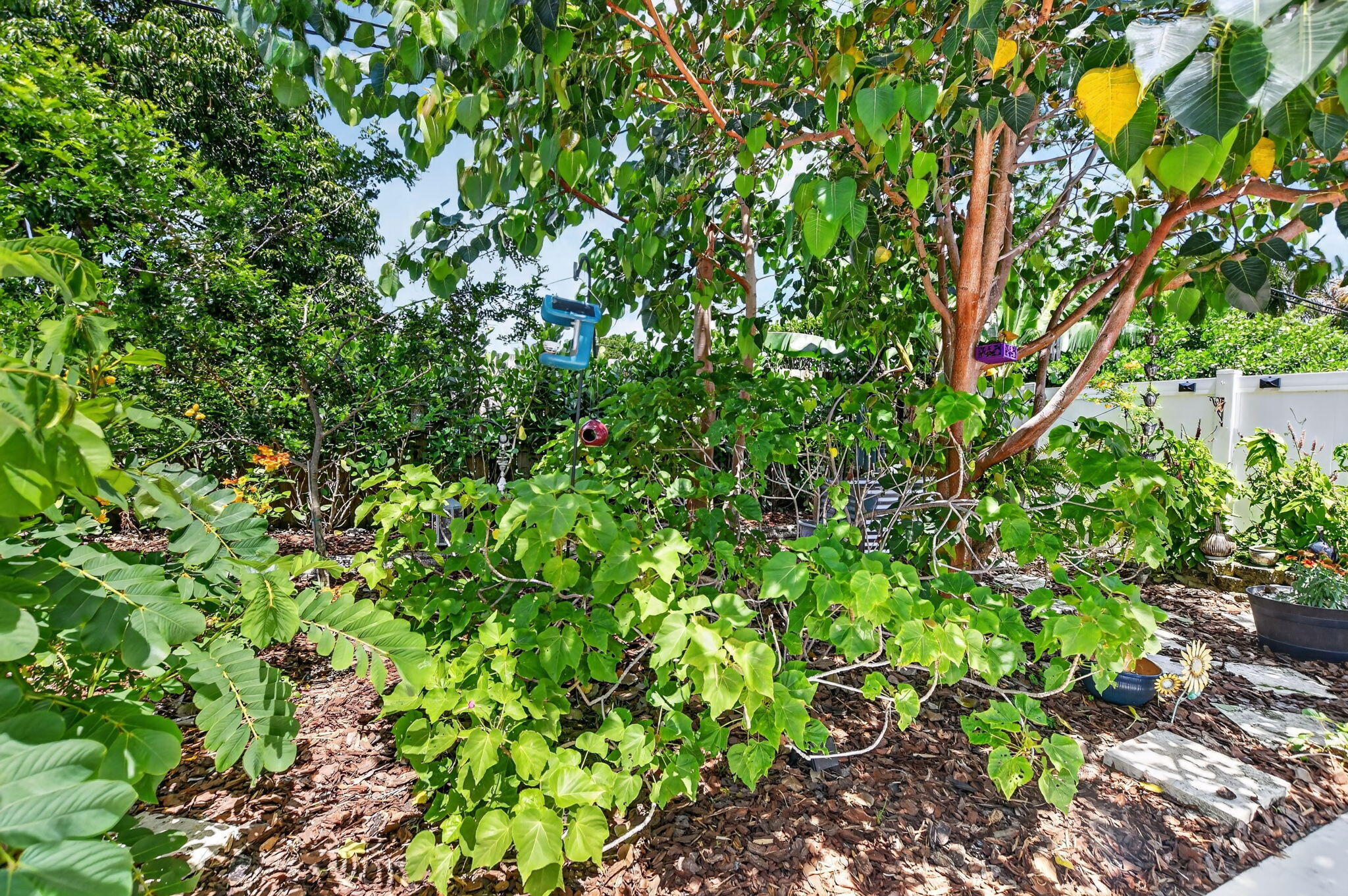 1207 Southwest 12th Avenue Boca Raton, FL 33486 - Photo 32 of 41 Backyard
