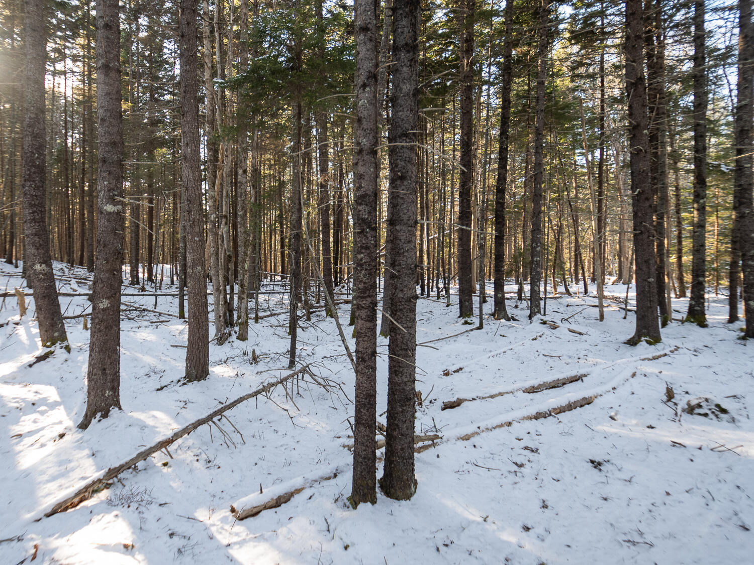 25 Long Pond Road Southwest Harbor, ME 04679 - Photo 2 of 6 25 Long Pond Rd