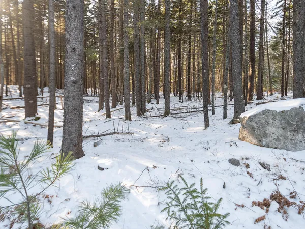 $165,000 | 25 Long Pond Road, Southwest Harbor, ME 04679