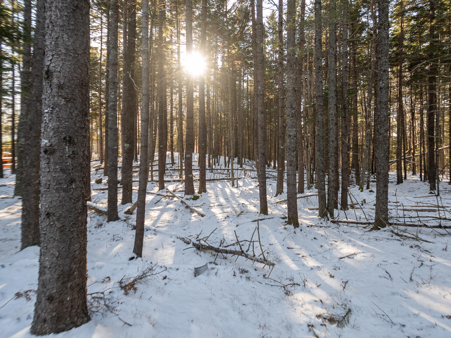 25 Long Pond Road Southwest Harbor, ME 04679 - Photo 4 of 6 25 Long Pond Rd