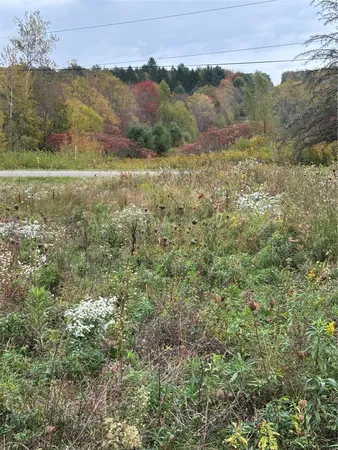 $35,000 | 1174 Straits Corners Road, Owego, NY 13827