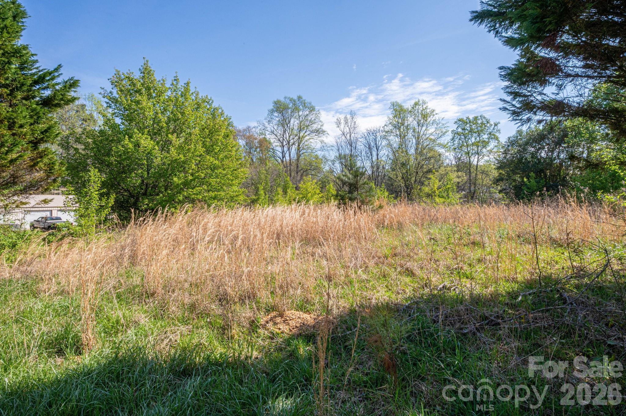 5101 Ridge Street Shelby, NC 28152 - Photo 11 of 21 a view of lake with green space