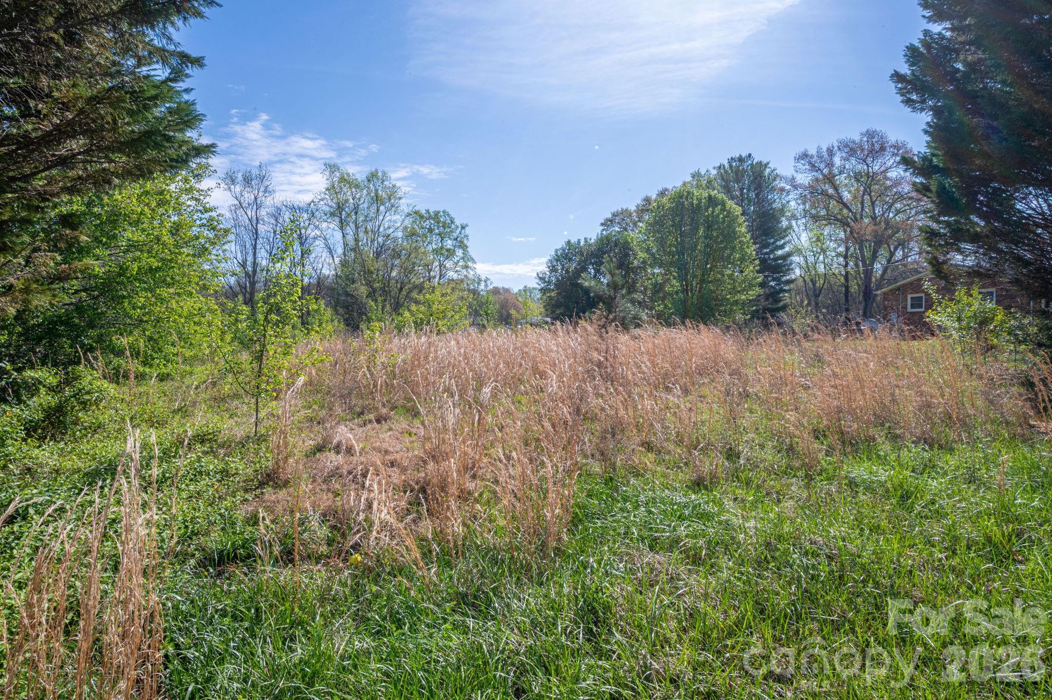 5101 Ridge Street Shelby, NC 28152 - Photo 12 of 21 a view of a yard with an trees