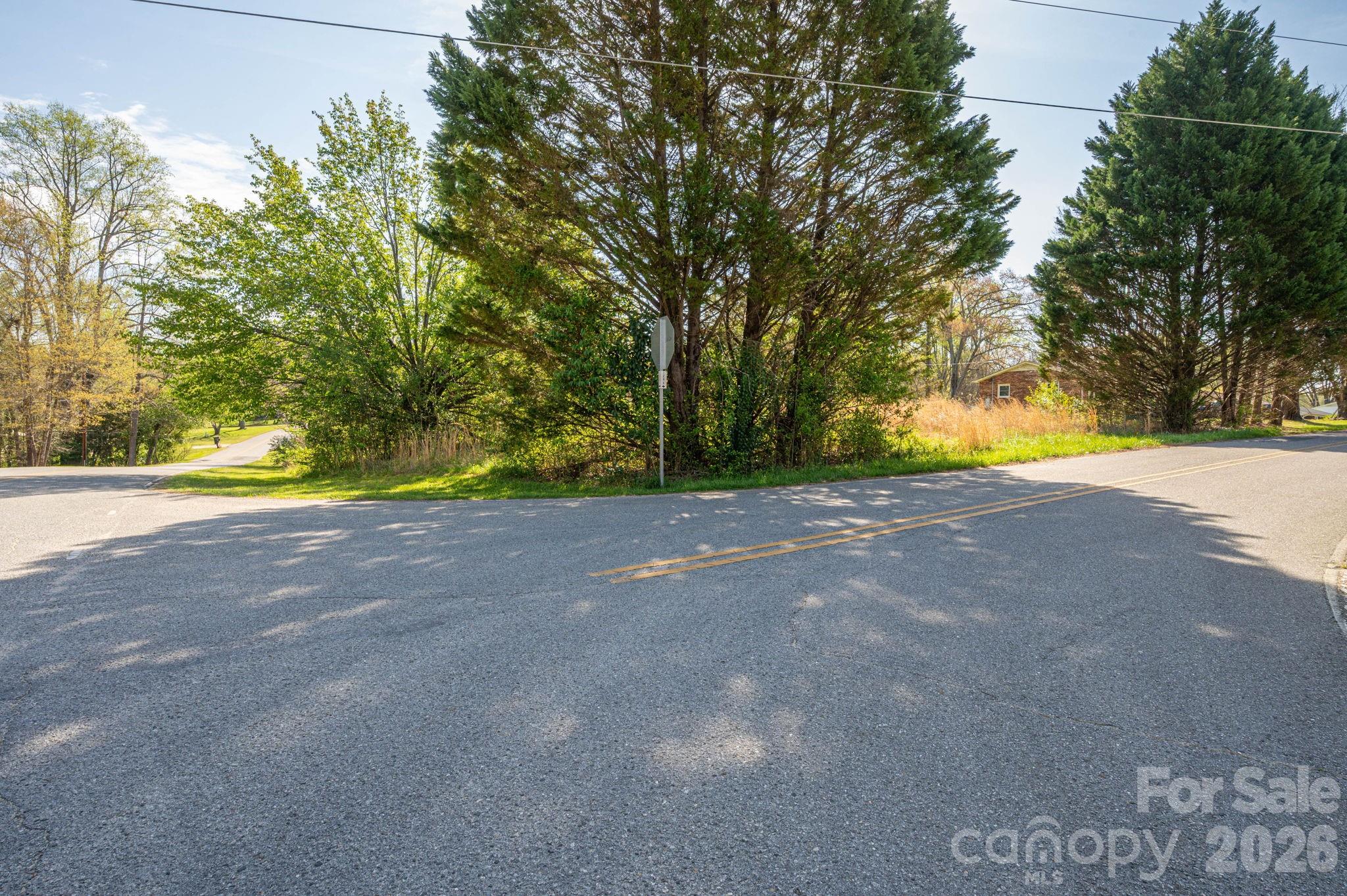 5101 Ridge Street Shelby, NC 28152 - Photo 14 of 21 a view of yard with swimming pool and trees in the background