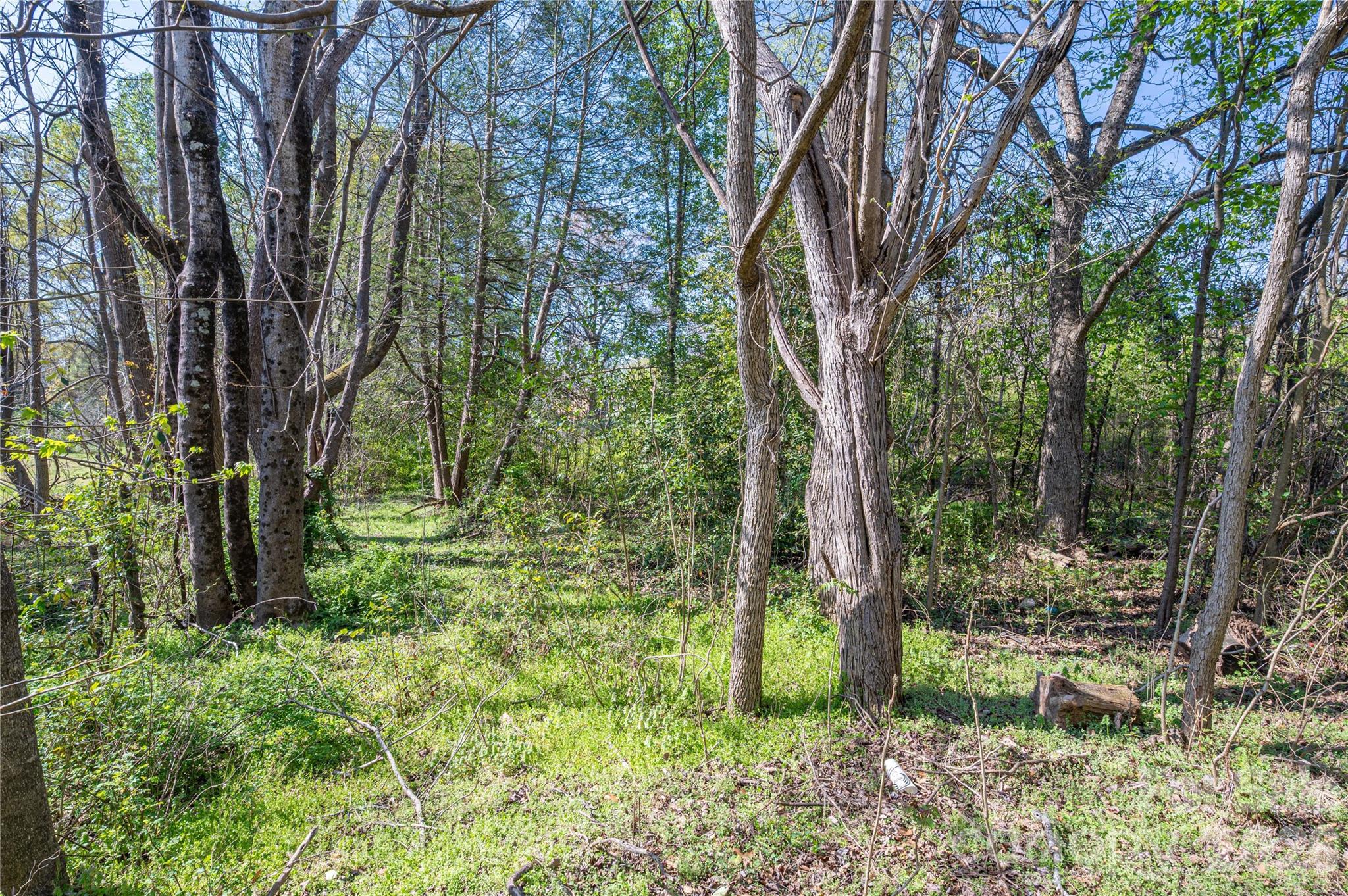 5101 Ridge Street Shelby, NC 28152 - Photo 6 of 21 a big yard with lots of green space and plants