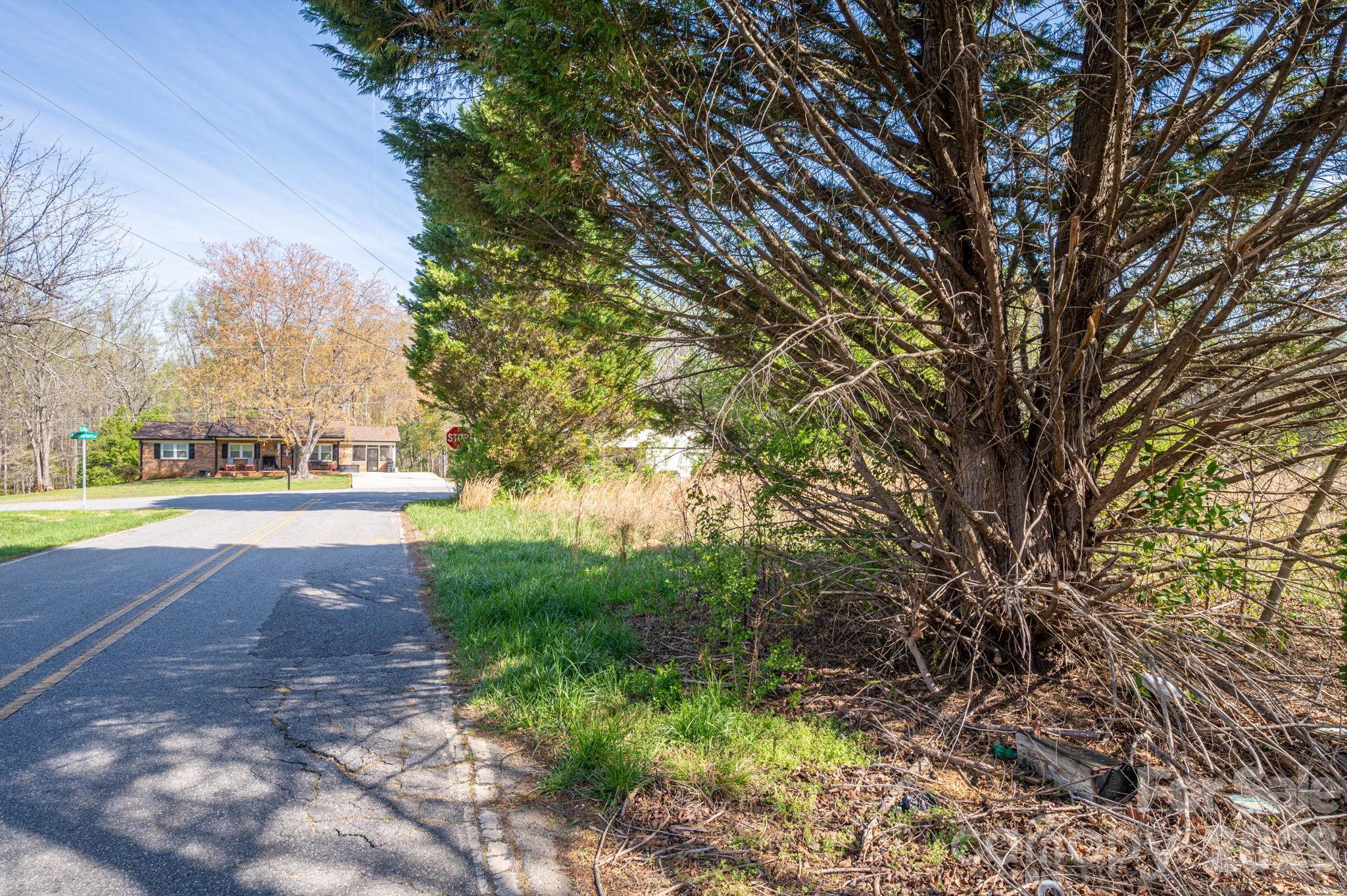 5101 Ridge Street Shelby, NC 28152 - Photo 9 of 21 a view of yard with green space