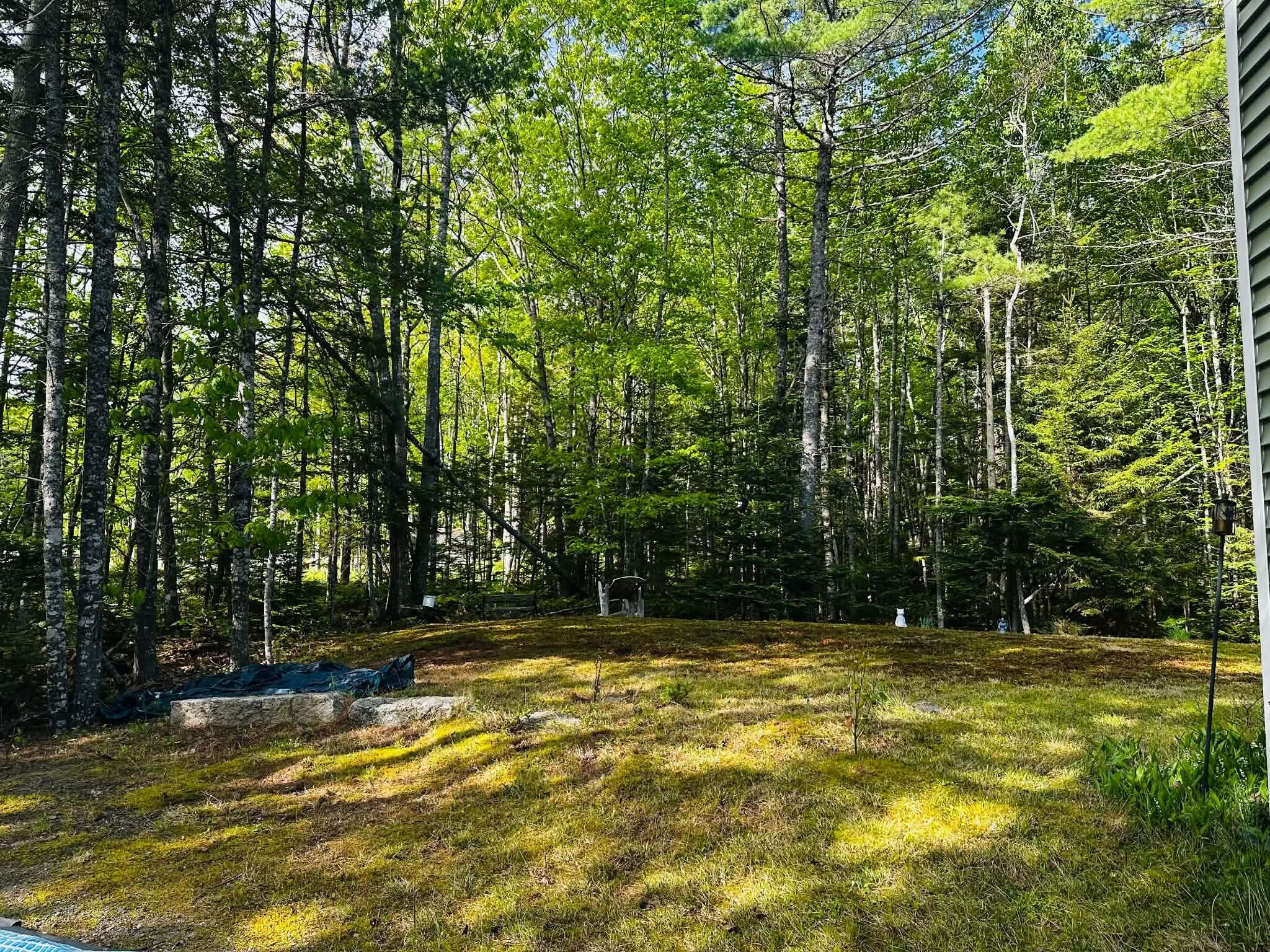 291 Morgan Bay Road Surry, ME 04684 - Photo 33 of 37