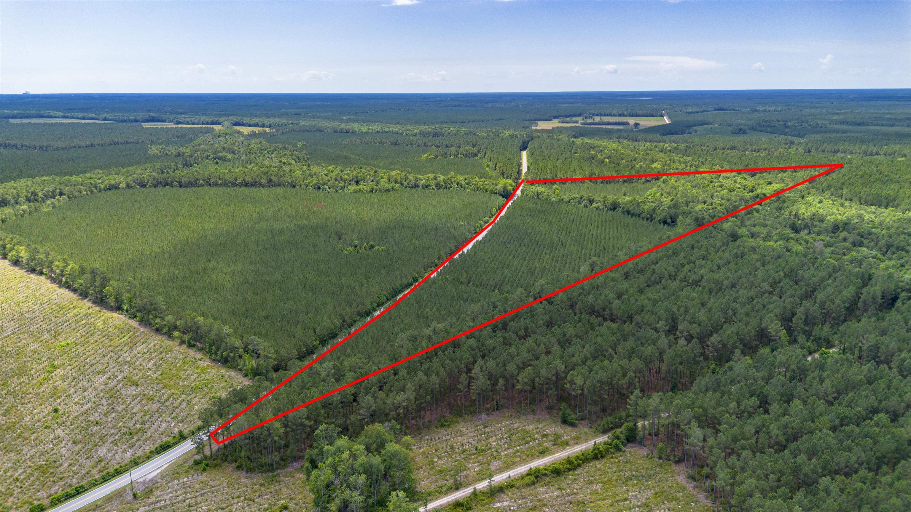 Ten 10 Acre Road Andrews, SC 29510 - Photo 3 of 15