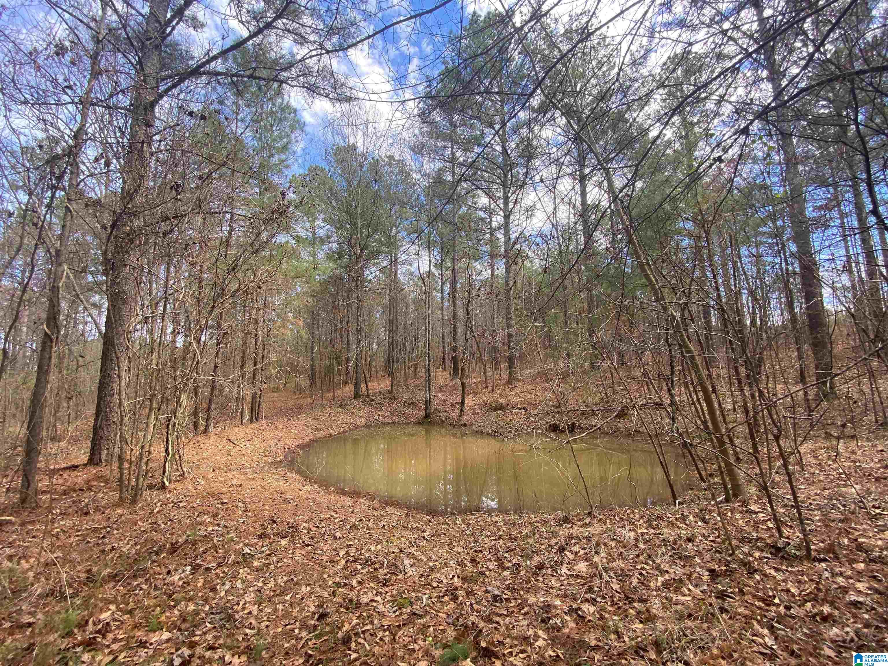 Springs Lane, Unit 12 Springville, AL 35146 - Photo 16 of 26