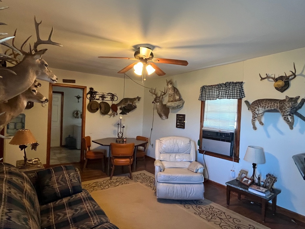 15 County Road 426 Road West Goldthwaite, TX 76844 - Photo 33 of 38 a living room with furniture and wooden floor