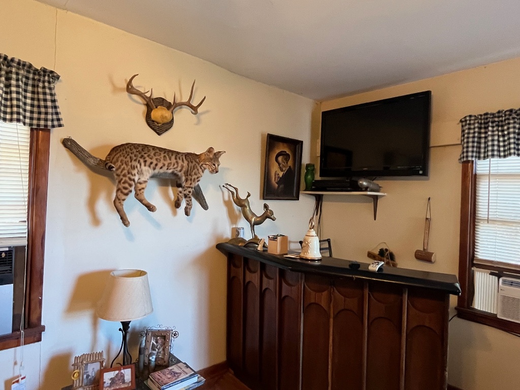 15 County Road 426 Road West Goldthwaite, TX 76844 - Photo 34 of 38 a view of a living room and a flat screen tv