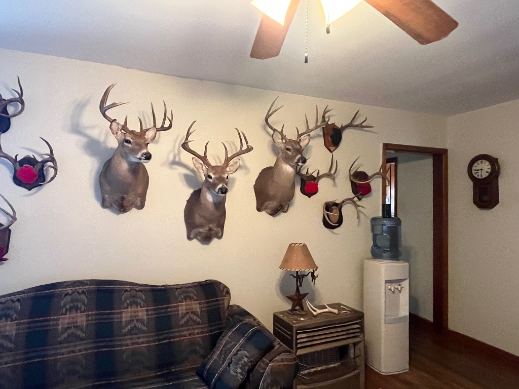 15 County Road 426 Road West Goldthwaite, TX 76844 - Photo 35 of 38 a bathroom with a sink and a mirror