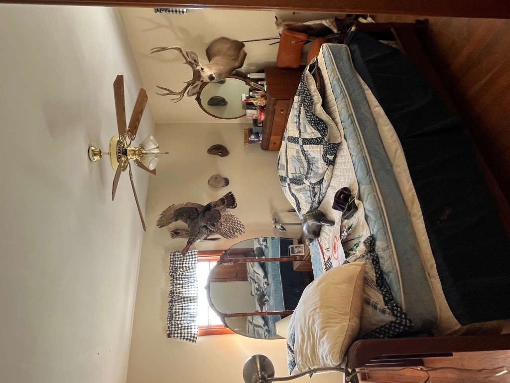 15 County Road 426 Road West Goldthwaite, TX 76844 - Photo 38 of 38 a bedroom with a bed and a chandelier