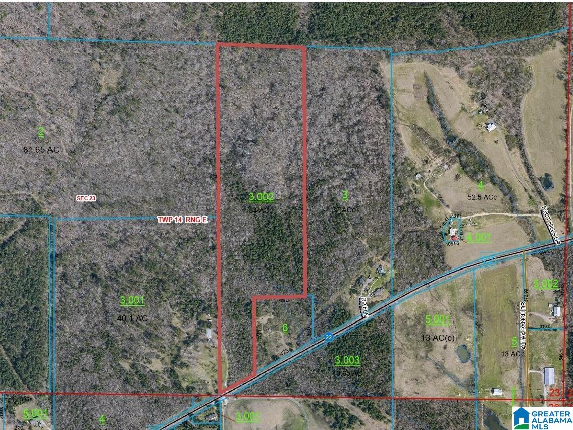 Shoal Creek Road Ashville, AL 35953 - Photo 3 of 6