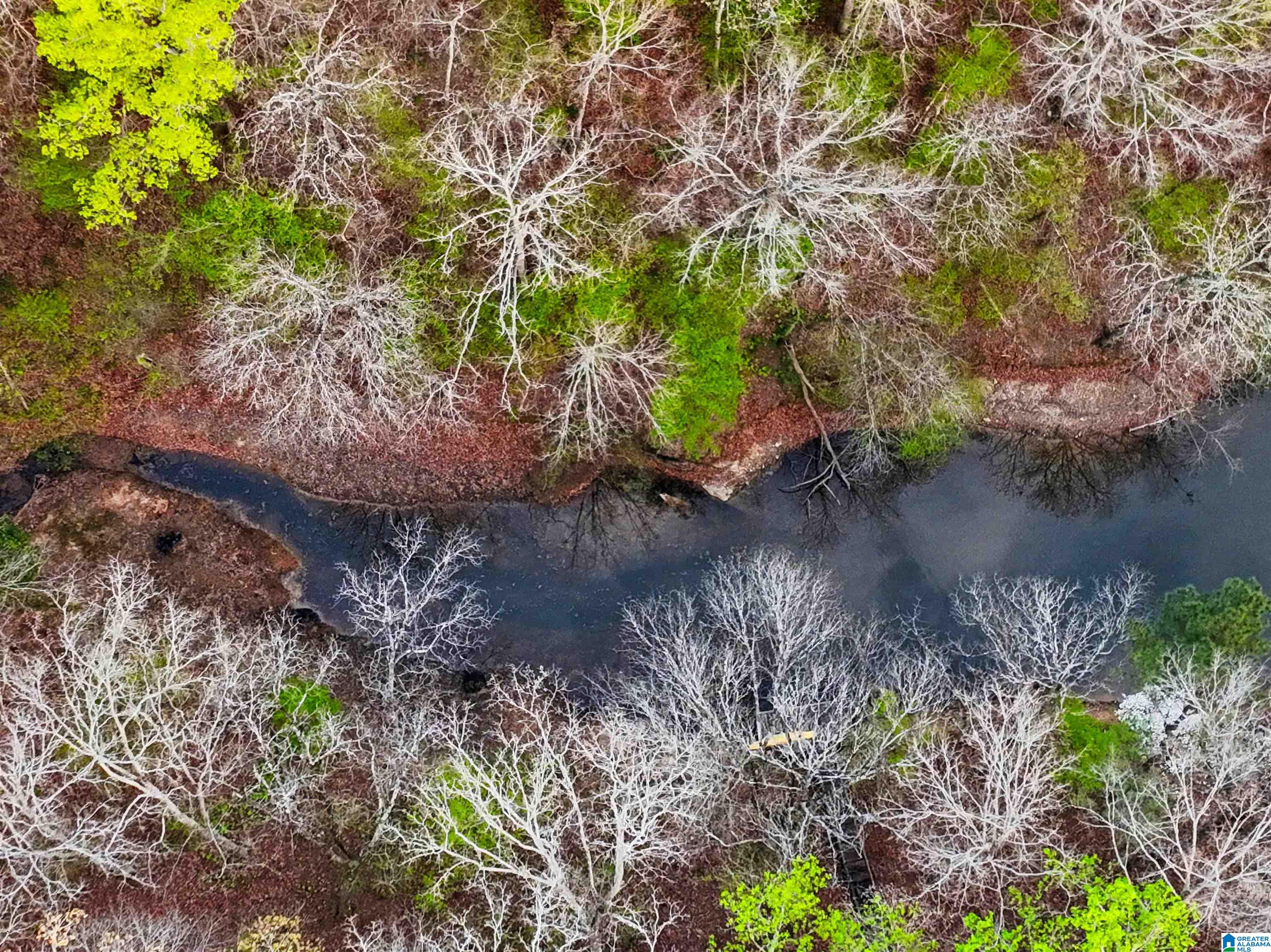 841 Raintree Drive, Unit 53 Alexander City, AL 35010 - Photo 3 of 17