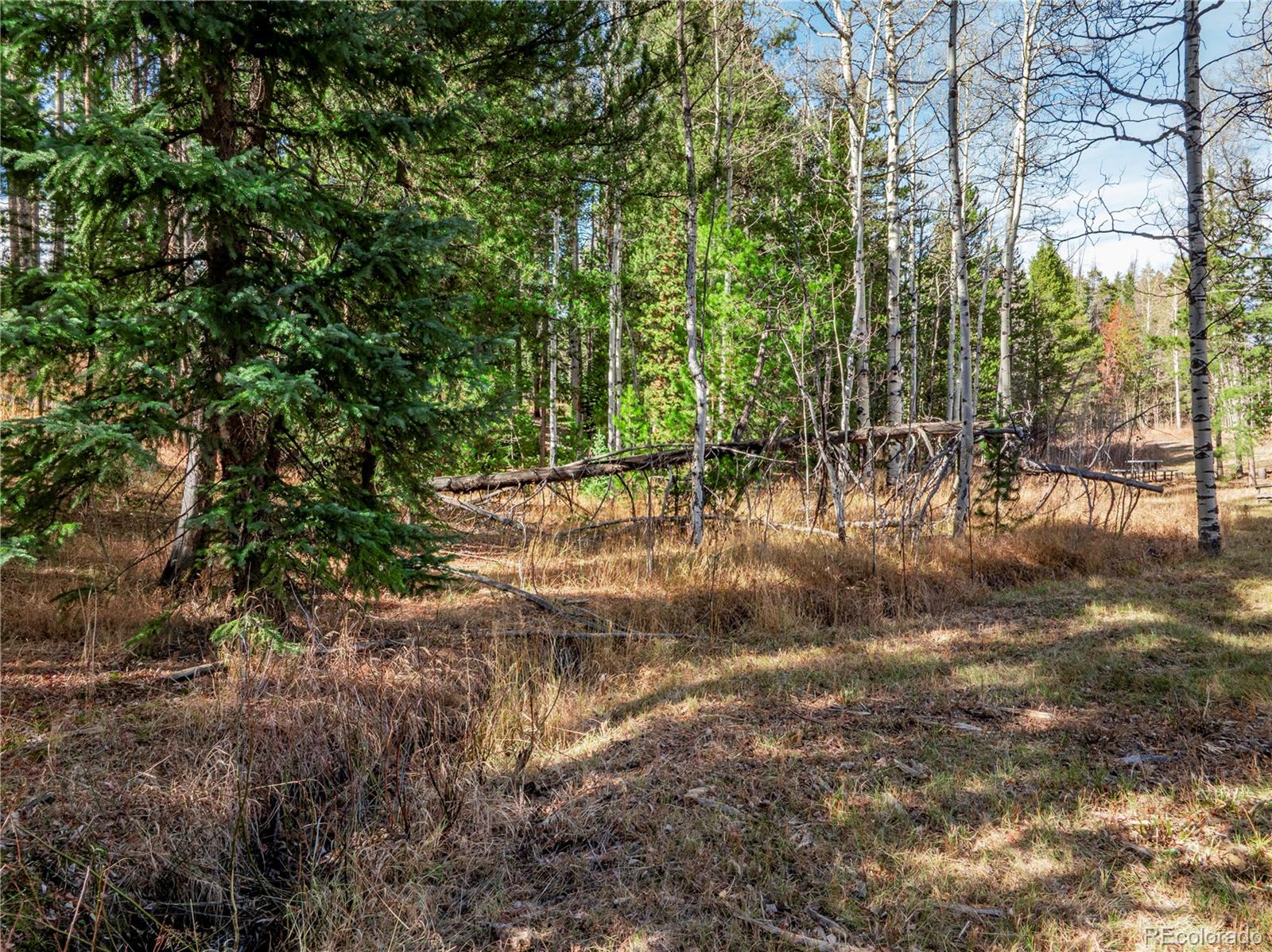 Lot 216620 Indian Springs Road Conifer, CO 80433 - Photo 15 of 37