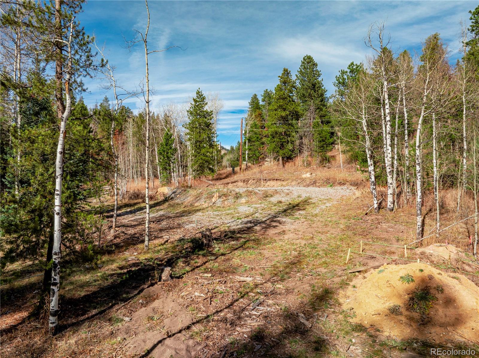 Lot 216620 Indian Springs Road Conifer, CO 80433 - Photo 17 of 37 a view of a yard with trees