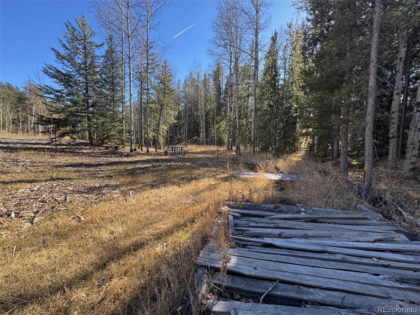 Lot 216620 Indian Springs Road Conifer, CO 80433 - Photo 17 of 42 a view of a yard with trees