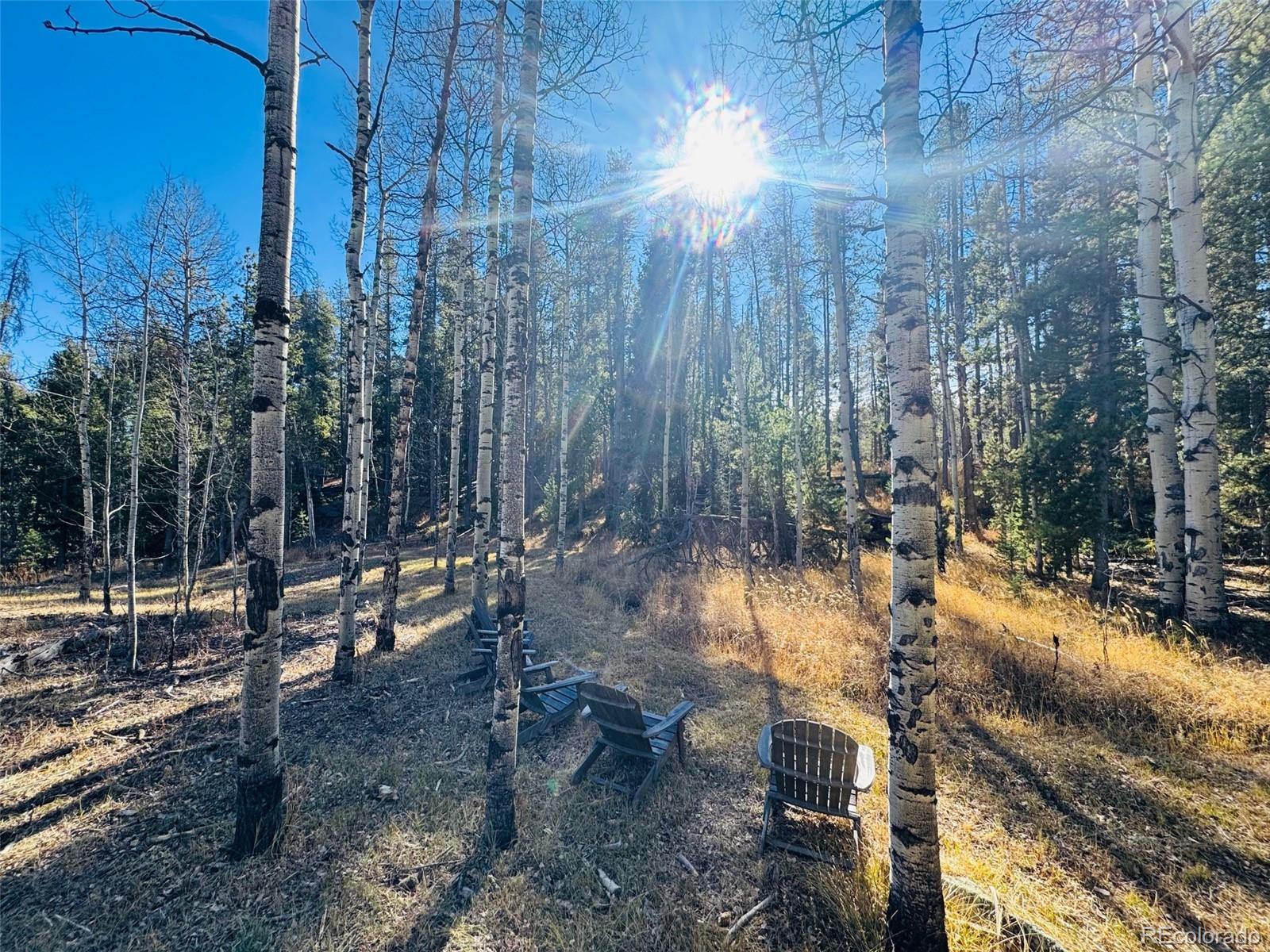 Lot 216620 Indian Springs Road Conifer, CO 80433 - Photo 18 of 42 a view of yard