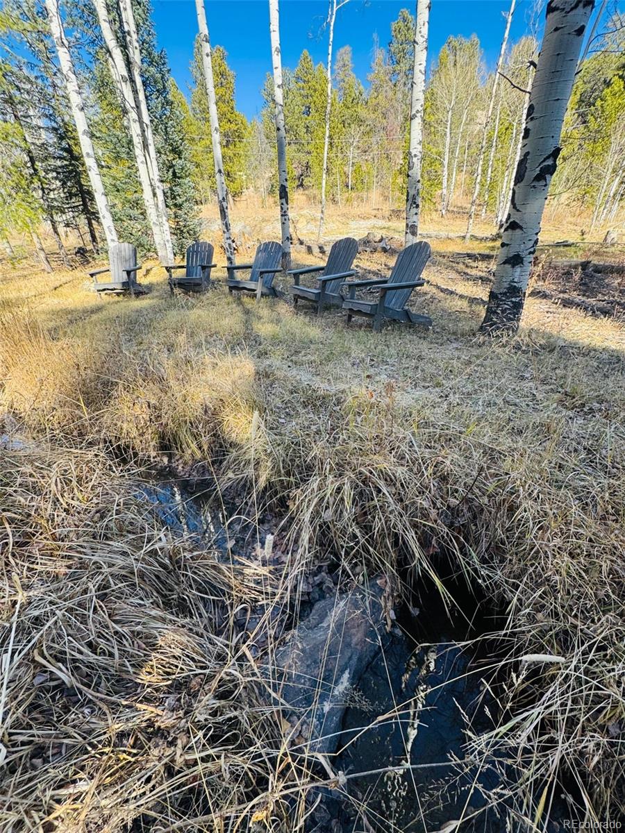 Lot 216620 Indian Springs Road Conifer, CO 80433 - Photo 2 of 43 a view of yard with outdoor seating