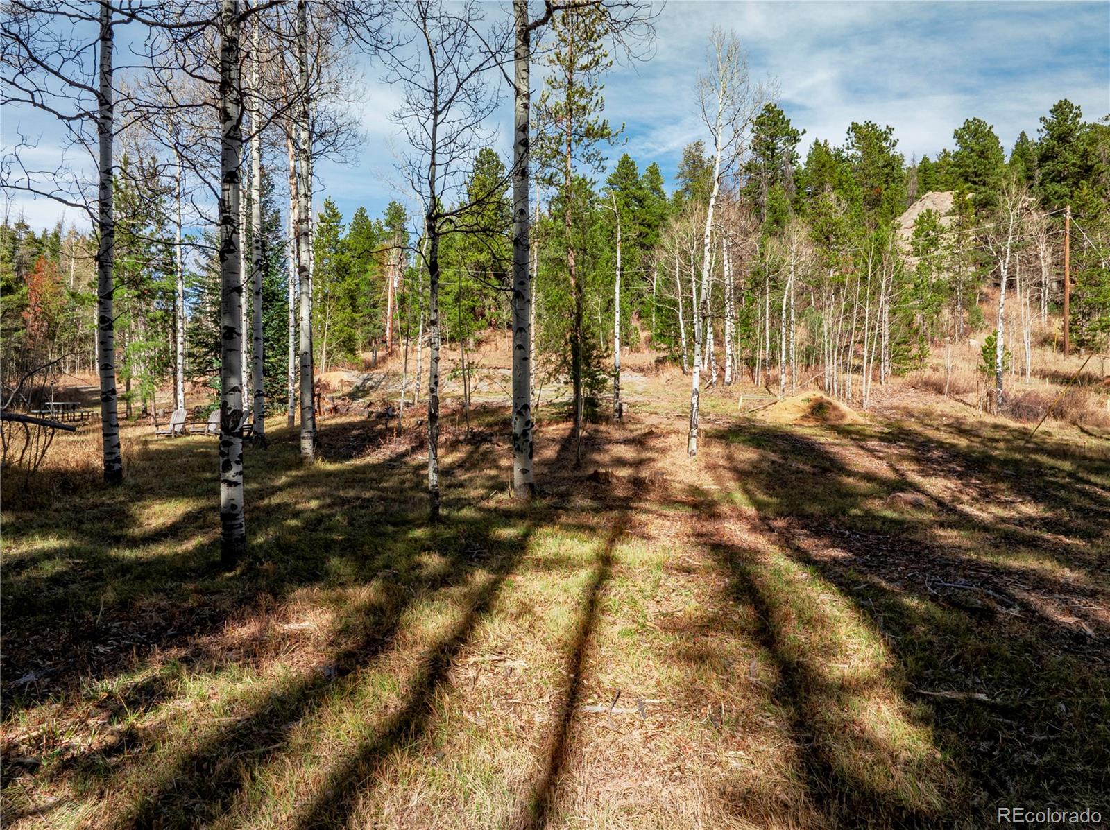Lot 216620 Indian Springs Road Conifer, CO 80433 - Photo 25 of 42 a view of a yard with plants and trees