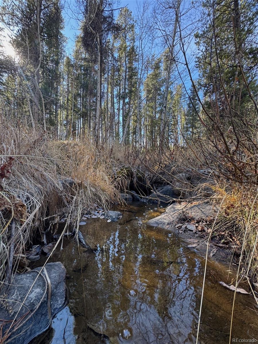 Lot 216620 Indian Springs Road Conifer, CO 80433 - Photo 35 of 37