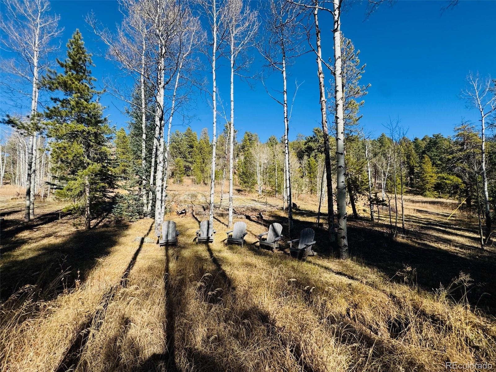 Lot 216620 Indian Springs Road Conifer, CO 80433 - Photo 36 of 37