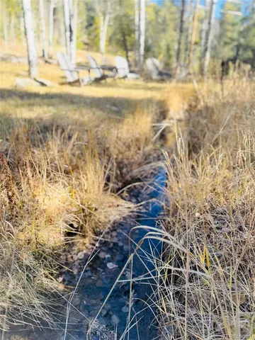 $315,000 | Lot 216620 Indian Springs Road, Conifer, CO 80433