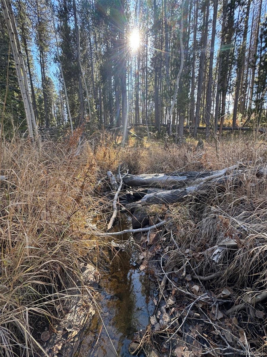 Lot 216620 Indian Springs Road Conifer, CO 80433 - Photo 4 of 37 a backyard of a house with lots of green space