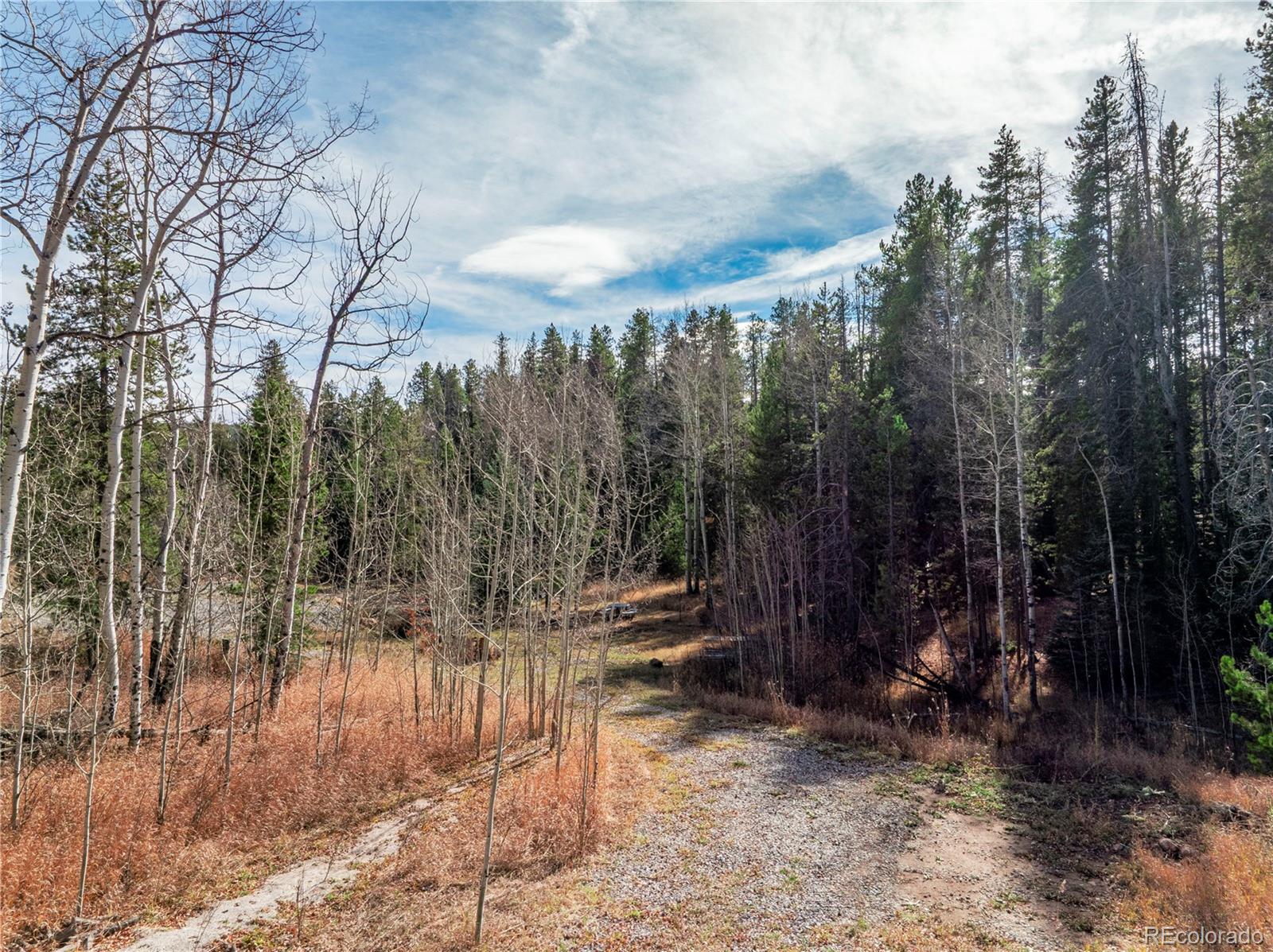Lot 216620 Indian Springs Road Conifer, CO 80433 - Photo 5 of 37 a view of outdoor space with trees