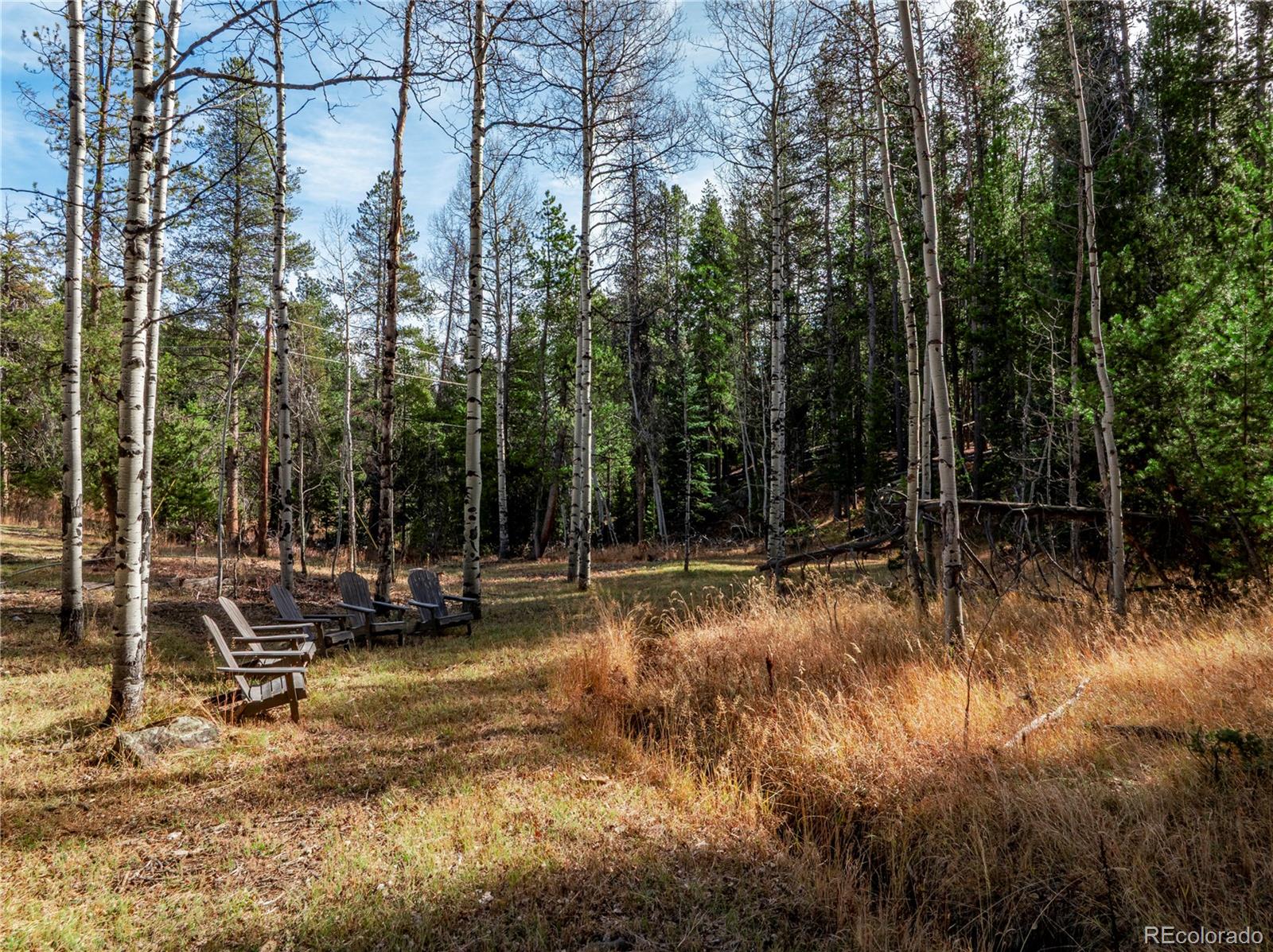 Lot 216620 Indian Springs Road Conifer, CO 80433 - Photo 6 of 43 a view of a yard with a tree