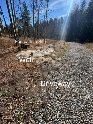a view of a lake with a tree